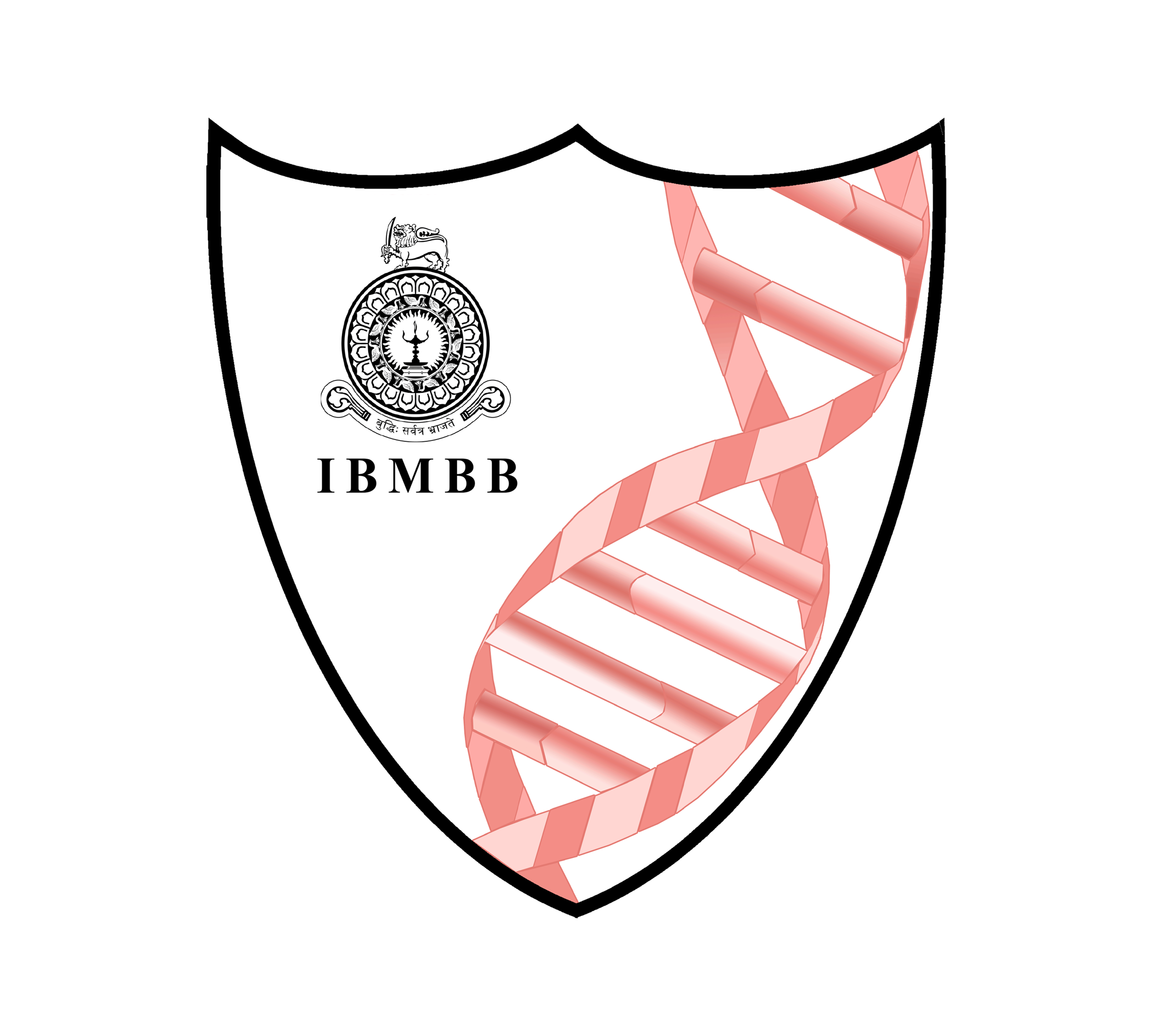 IBMBB Logo